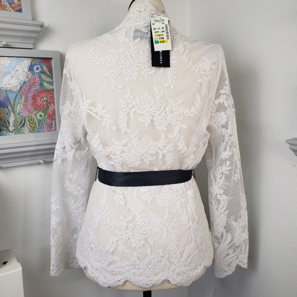 Victor Costa White Lace Embroidery Sheer Formal Feminine Snap Victorian - Picture 5 of 15